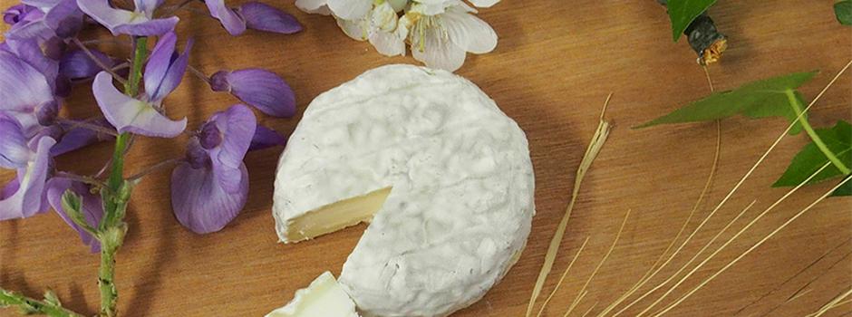 fromages-drome-montvendre-sonia.jpg