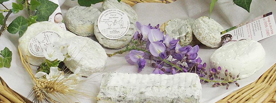 fromages-tomme-drome-GAEC-Chovin.jpg
